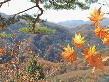 樂山大佛十大怪事之謎，樂山大佛神秘十大怪事揭秘