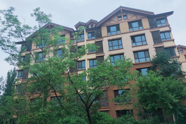 關(guān)于由山由谷的最新消息，山由谷最新動態(tài)報道速遞