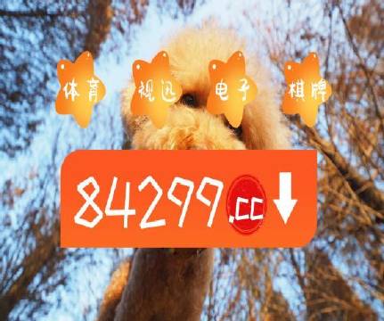 澳門天天開彩結果記錄，揭示背后的風險與違法犯罪問題，澳門彩票結果記錄揭示背后的風險與違法犯罪隱患