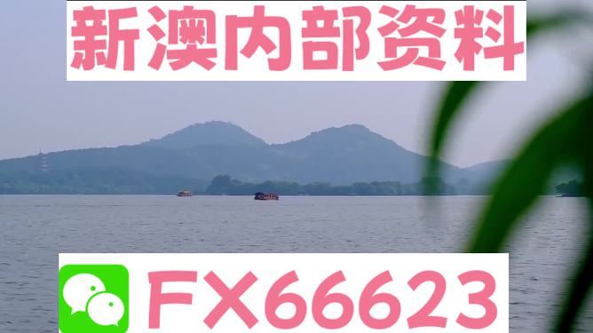關于新澳精準資料大全的探討與警示——警惕違法犯罪風險，警惕新澳精準資料的風險，探討與警示——預防違法犯罪風險