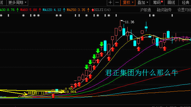 君正云通，一只10倍牛股的成長之路，君正云通，牛股成長之路揭秘，邁向十倍增長之路