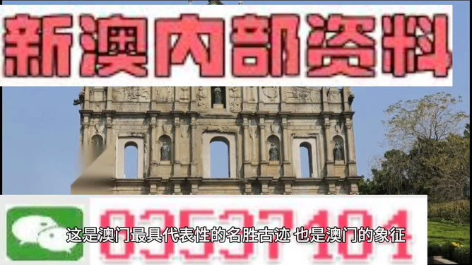 澳門(mén)天天免費(fèi)精準(zhǔn)大全——警惕背后的違法犯罪風(fēng)險(xiǎn)，澳門(mén)天天免費(fèi)精準(zhǔn)大全背后的違法犯罪風(fēng)險(xiǎn)警惕