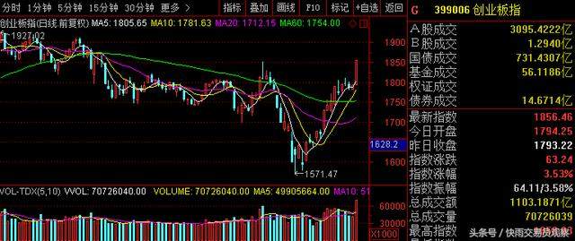嶺南股份下周是否停牌，深度分析與預(yù)測(cè)，嶺南股份下周是否停牌，深度分析與預(yù)測(cè)展望