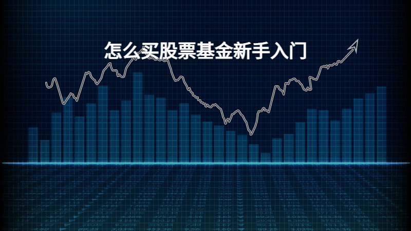 股票投資入門，新手如何購買股票，新手股票投資入門指南，如何購買股票？