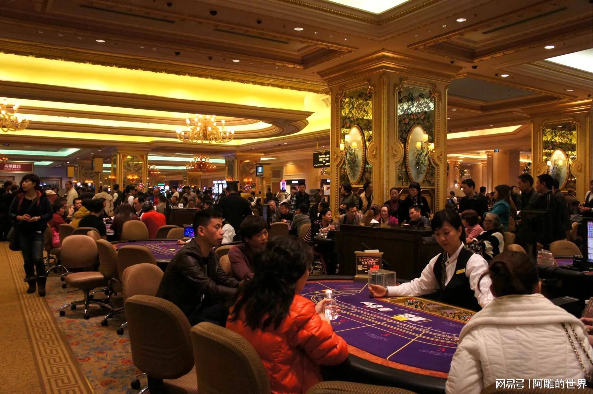 澳門昨晚開虎今晚開什么——探索澳門的魅力與未來展望，澳門魅力探索與未來展望，昨開虎今開何物？