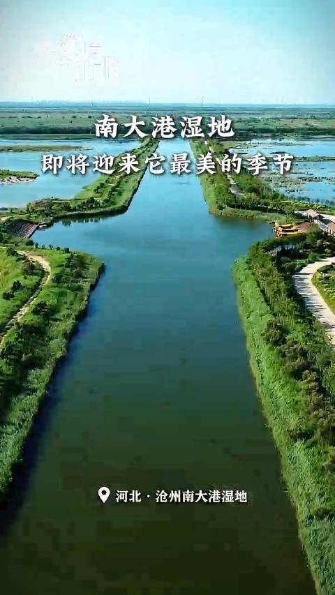 南大港最新消息，發(fā)展動態(tài)與未來展望，南大港最新發(fā)展動態(tài)與未來展望，揭秘最新消息及未來趨勢