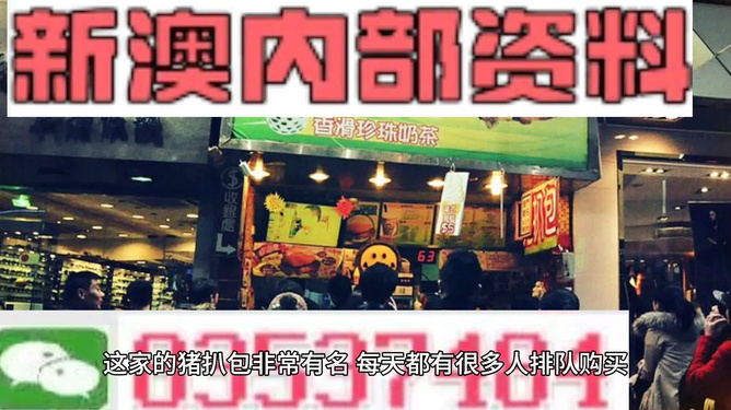 新奧天天精準(zhǔn)資料大全，深度解析與實際應(yīng)用，新奧天天精準(zhǔn)資料大全，深度解析及實際應(yīng)用指南