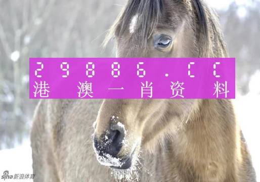 澳門一肖一碼，揭秘真相，遠(yuǎn)離非法賭博陷阱，澳門一肖一碼揭秘，警惕非法賭博陷阱，遠(yuǎn)離風(fēng)險(xiǎn)！