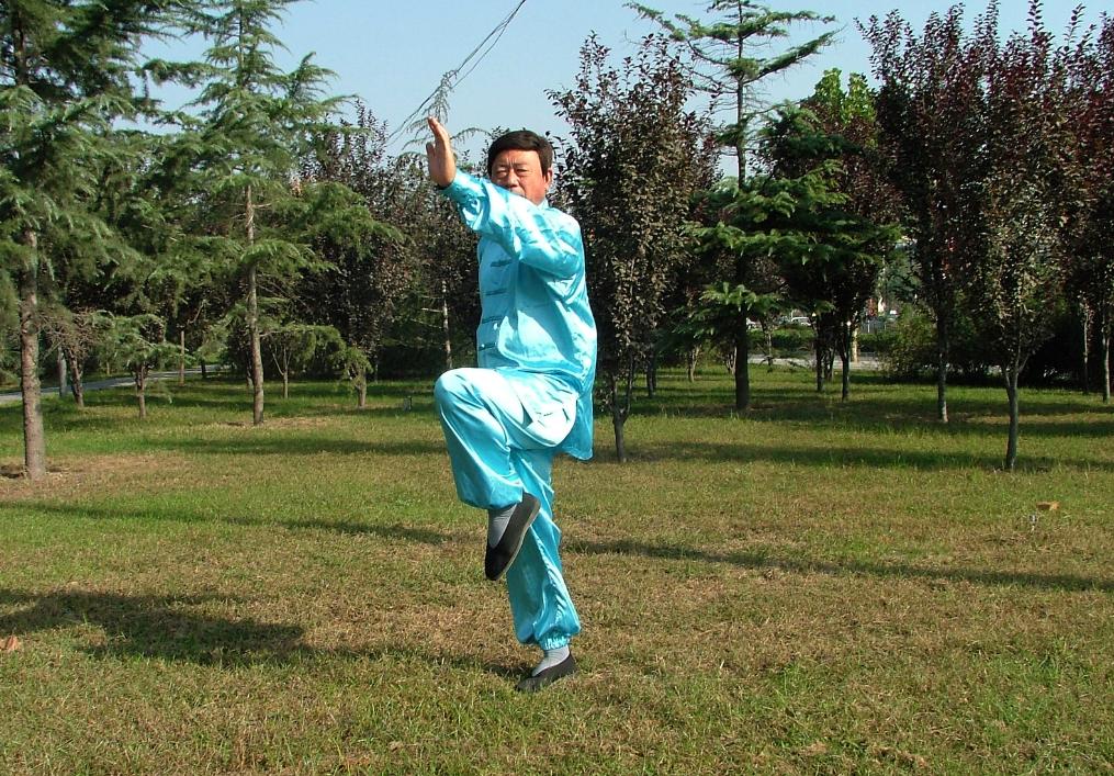 傳統(tǒng)武術(shù)與現(xiàn)代生活的結(jié)合，一種文化交融的探討，傳統(tǒng)武術(shù)與現(xiàn)代生活的文化交融，傳承與創(chuàng)新之探討