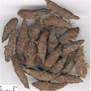 關(guān)于香附最新價(jià)格的研究與探討，香附最新價(jià)格的研究分析