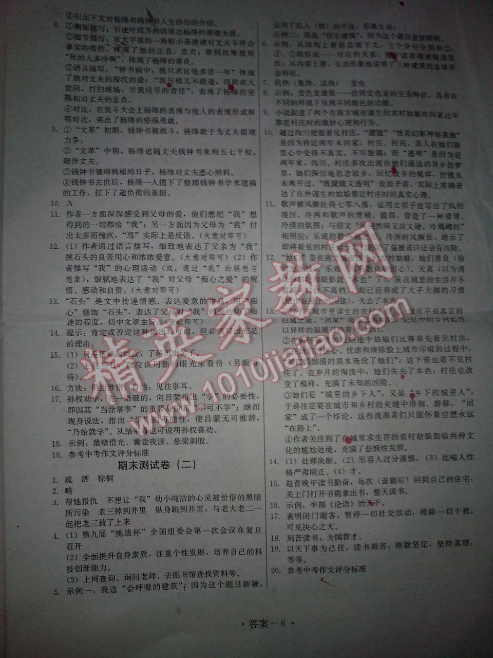 語文最新課標(biāo)，重塑語言教育的基石，語文新課標(biāo)，重塑語言教育的基石