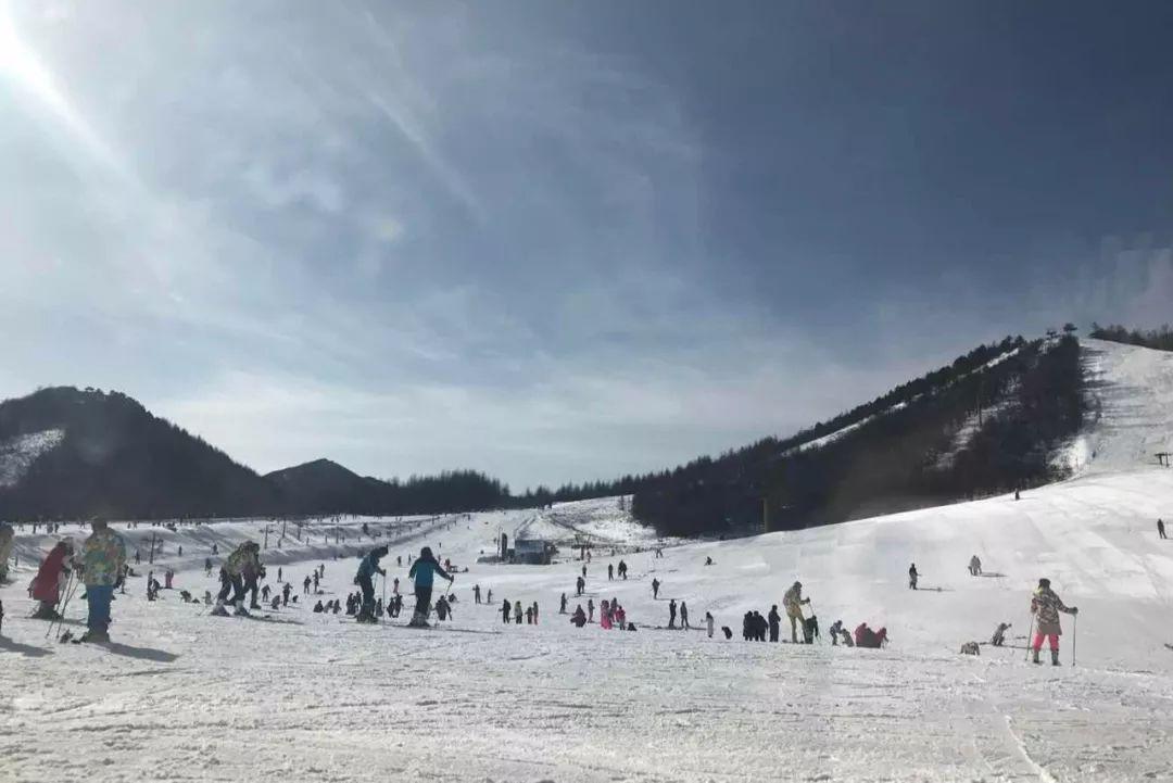 滑雪最好的地方，探索雪域奇境的魅力，探索雪域奇境，滑雪的最佳勝地