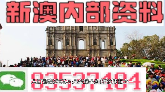 關(guān)于新澳門正版免費(fèi)資料的查詢——警惕犯罪風(fēng)險(xiǎn)，警惕犯罪風(fēng)險(xiǎn)，新澳門正版免費(fèi)資料查詢需謹(jǐn)慎