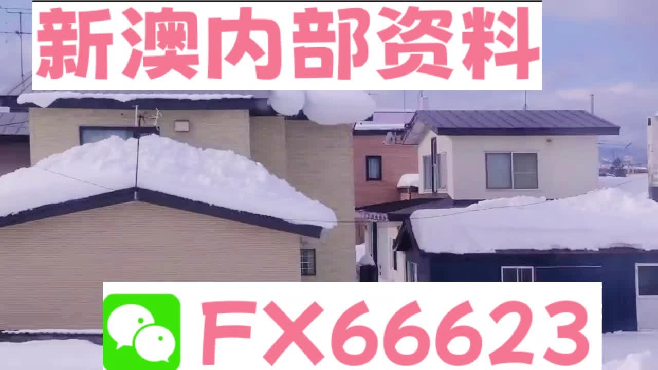 新奧天天精準(zhǔn)資料大全，深度解析與實(shí)際應(yīng)用，新奧天天精準(zhǔn)資料大全，深度解析及實(shí)際應(yīng)用指南