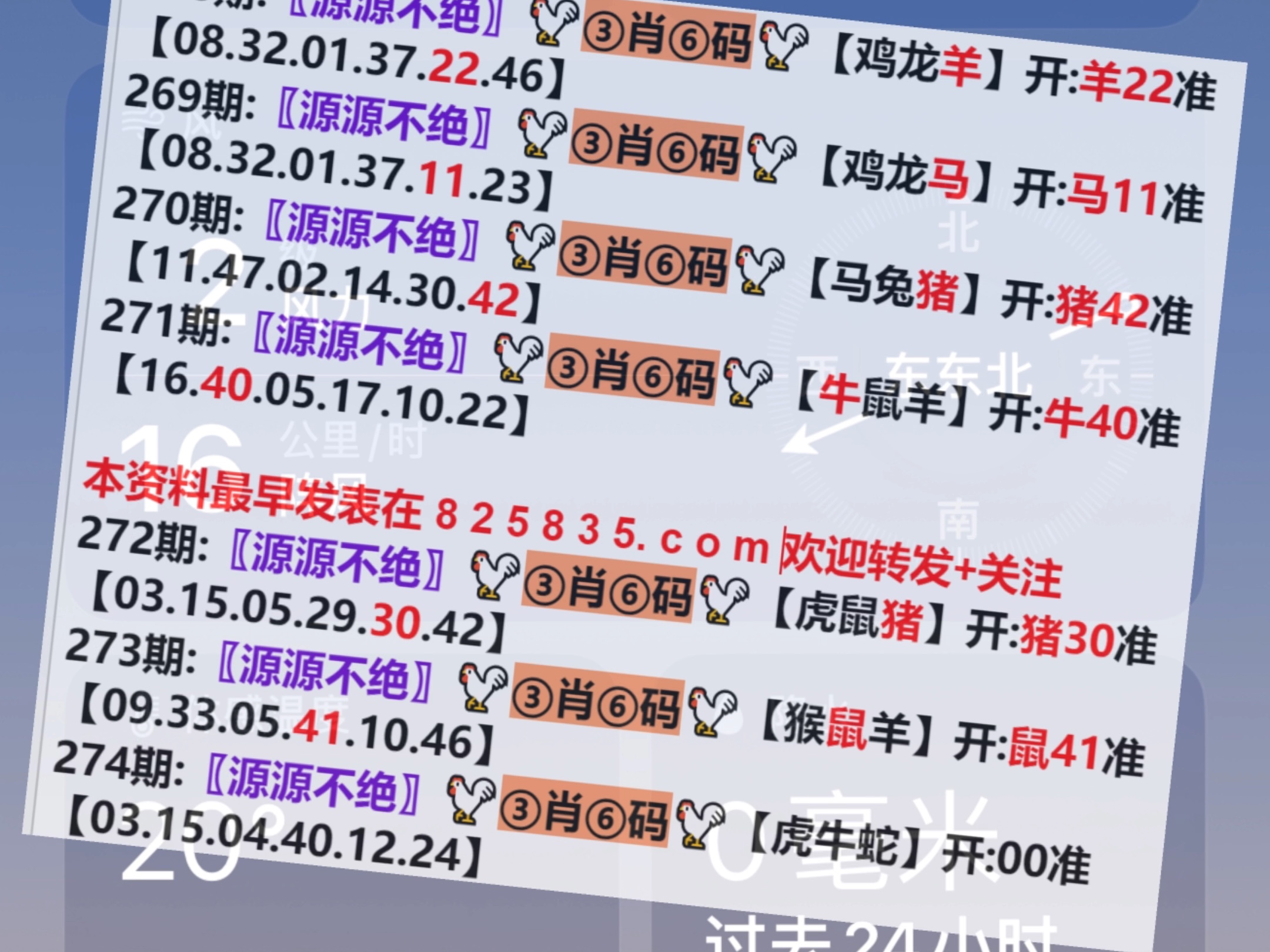 huangyanmin 第23頁