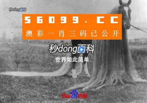 澳門一肖一碼一必中一肖舟山——探尋神秘預(yù)測(cè)背后的故事，澳門神秘預(yù)測(cè)探尋，一肖必中背后的故事揭秘