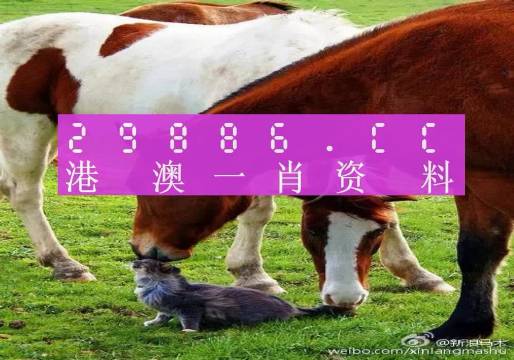 澳門(mén)一碼中一肖的更新日期與預(yù)測(cè)魅力，澳門(mén)一碼精準(zhǔn)預(yù)測(cè)生肖更新與預(yù)測(cè)魅力揭秘