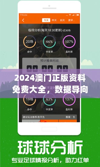 新澳2024今晚開獎資料詳解，新澳2024今晚開獎資料全面解析