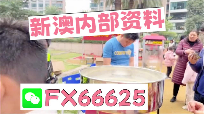 澳門正版資料大全，特色功能深度解析，澳門正版資料大全，特色功能深度解析與詳解