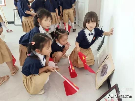 孤星計(jì)劃劇情深度介紹，孤星計(jì)劃劇情深度解析與解讀