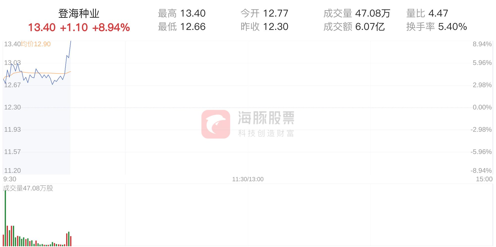 登海種業(yè)發(fā)行價(jià)是多少，深度解析與預(yù)測(cè)，登海種業(yè)發(fā)行價(jià)深度解析與預(yù)測(cè)，未來(lái)走勢(shì)展望