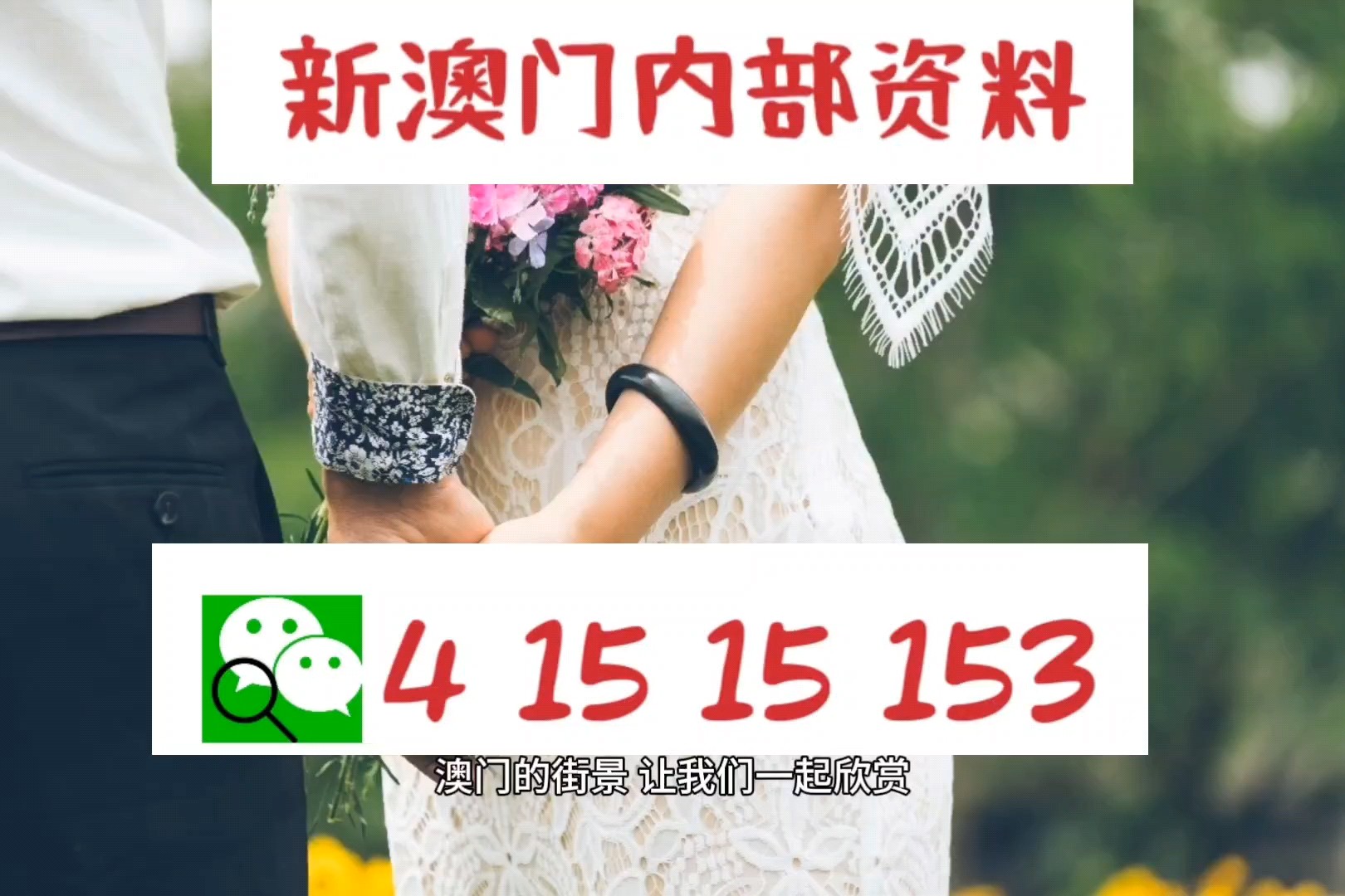 澳門一肖一碼，揭秘精準(zhǔn)免費(fèi)的資料背后的秘密，澳門一肖一碼揭秘，精準(zhǔn)免費(fèi)資料背后的真相探索