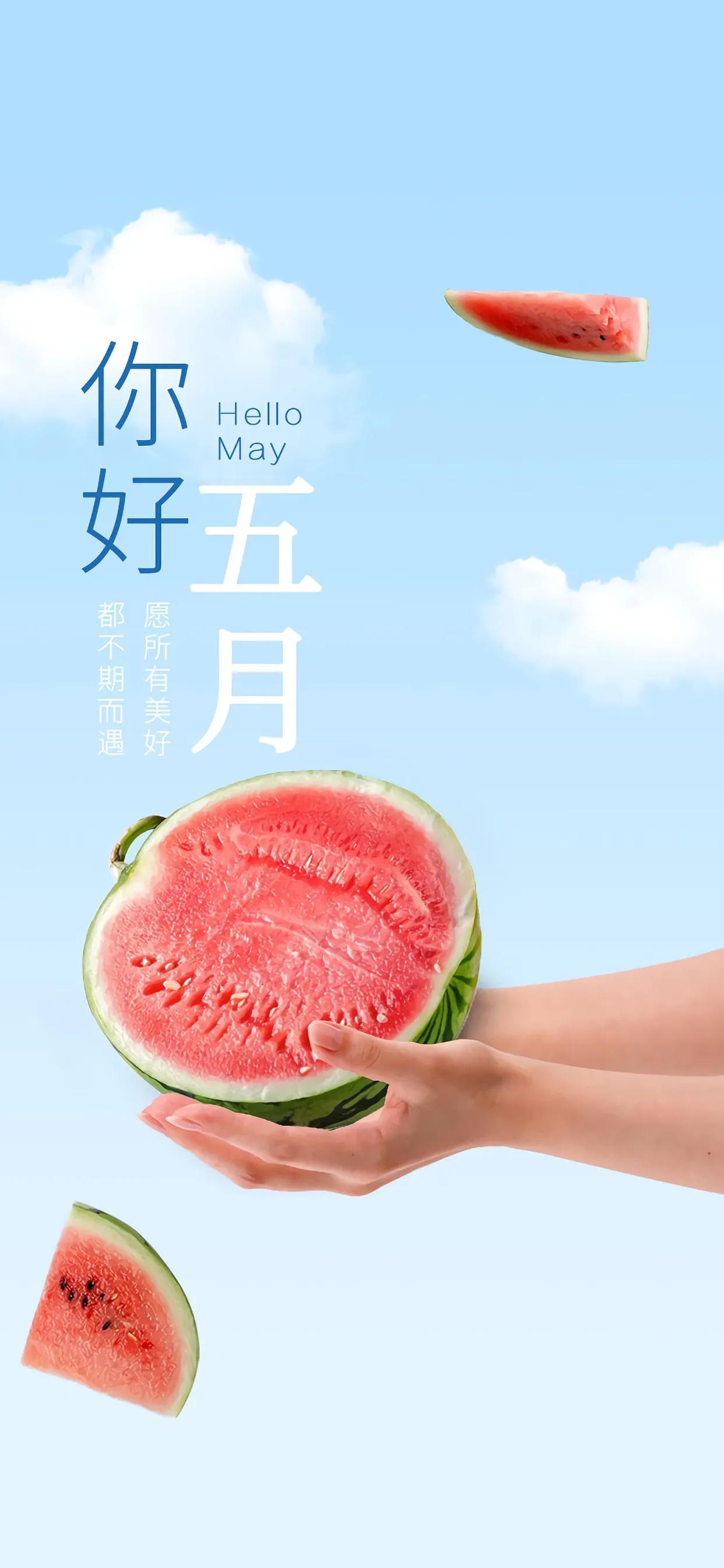 再見，生命中的告別與重逢，生命的告別與重逢，再見，珍貴的瞬間