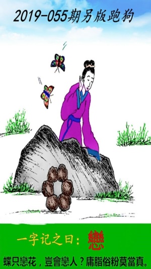 探索精準(zhǔn)跑狗圖，數(shù)字組合的魅力與策略，精準(zhǔn)跑狗圖數(shù)字組合的魅力與策略探索