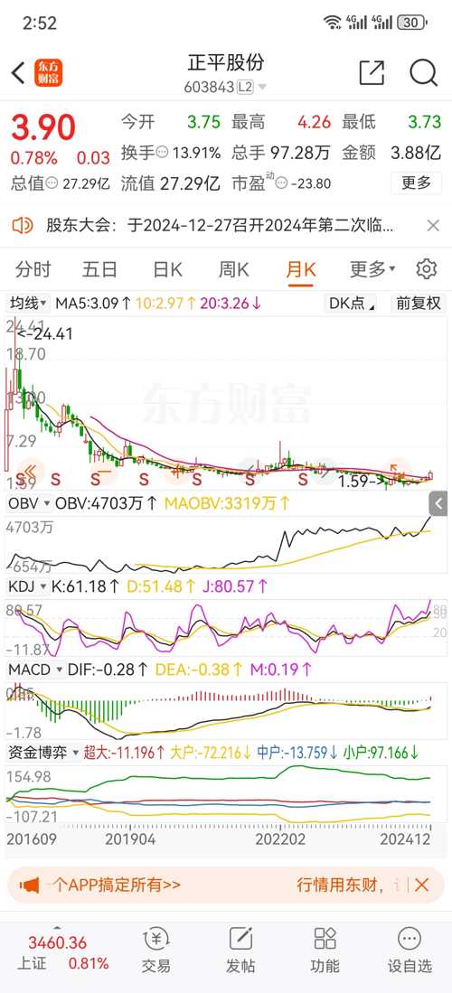 正平股份，下一個(gè)牛股的潛力展望，正平股份，潛力牛股展望