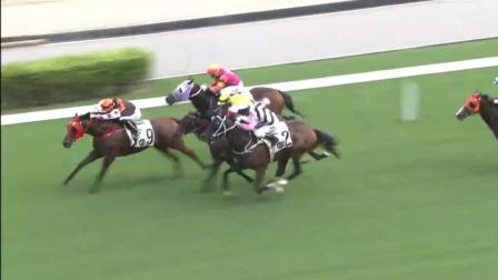 今晚香港開(kāi)特馬，期待與驚喜交織的時(shí)刻，香港特馬開(kāi)彩驚喜與期待交織的時(shí)刻