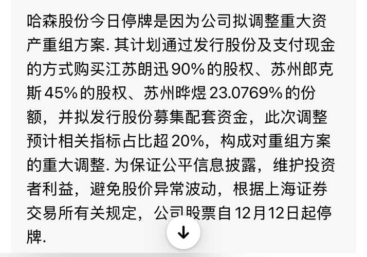 哈森股份怎么了，深度探究與前景展望，哈森股份深度探究，現(xiàn)狀分析與未來前景展望