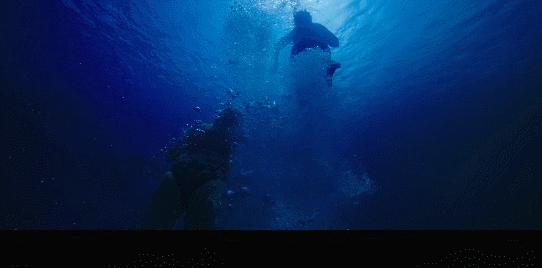 深海危機(jī)，9人潛水失聯(lián)28小時，環(huán)繞身邊的7條鯊魚熱，深海危機(jī)，潛水團(tuán)隊失聯(lián)28小時，環(huán)繞鯊魚危機(jī)四伏