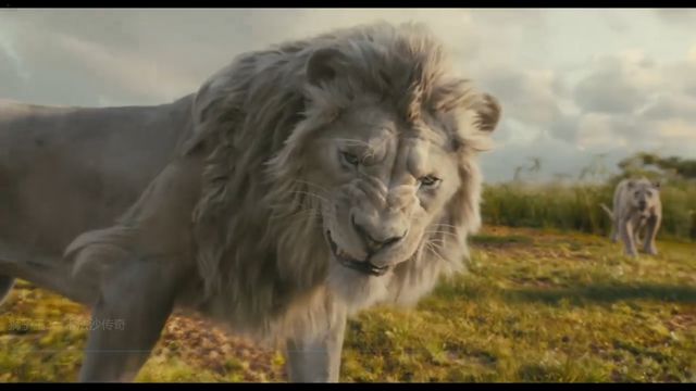 獅子王木法沙2024免費(fèi)版，回顧經(jīng)典與期待重塑，獅子王木法沙2024免費(fèi)版，經(jīng)典回顧與重塑期待