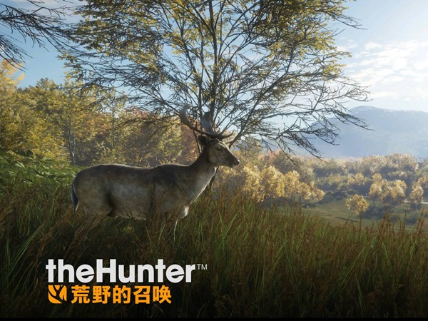 獵人荒野的呼喚，人與自然之間的較量與和諧，獵人荒野的呼喚，人與自然之間的較量與和諧共處之道