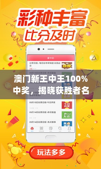 新澳門王中王100%期期中，探索彩票世界的神秘面紗，揭秘新澳門王中王彩票期期中奧秘，揭開彩票世界的神秘面紗