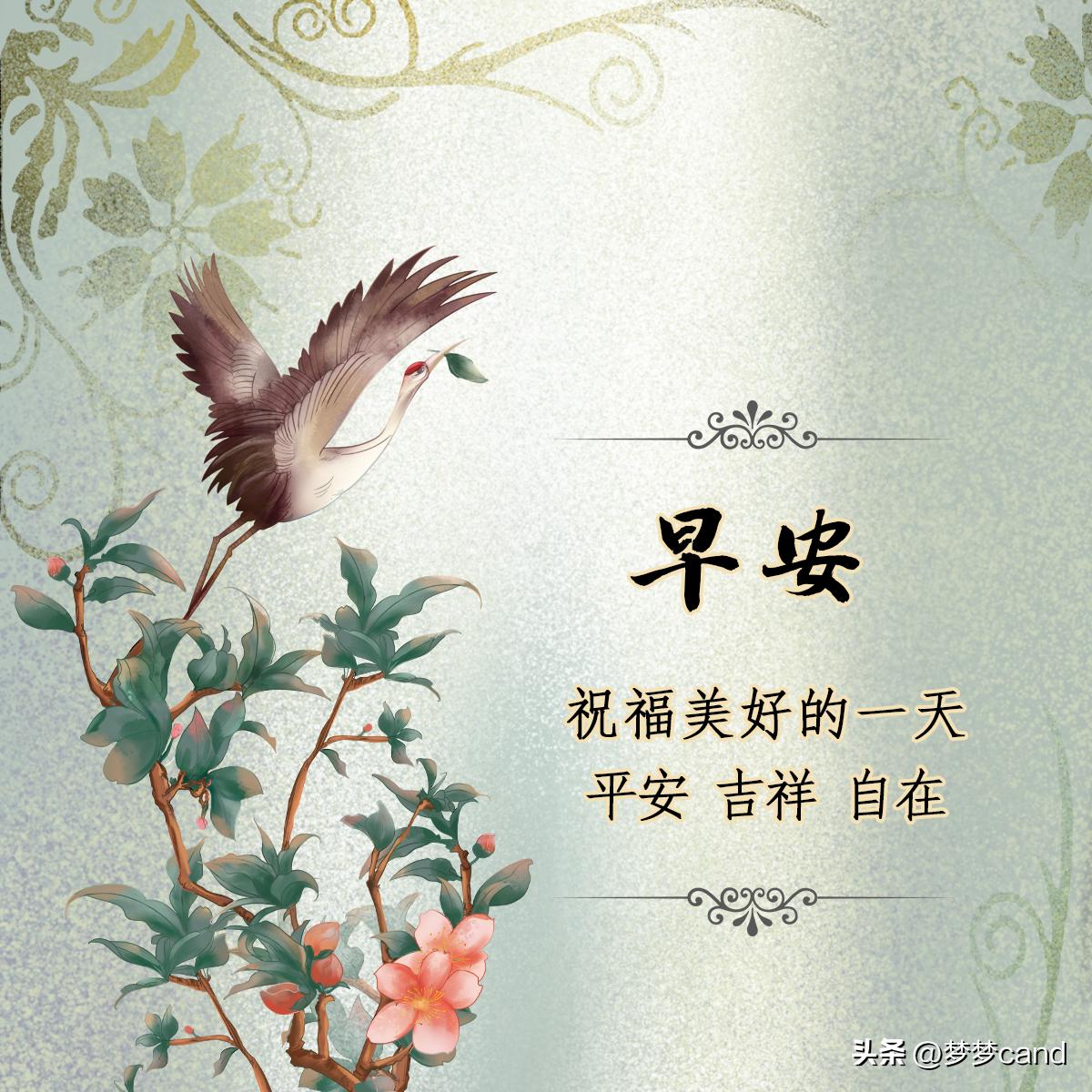 探索2024天天彩正版資料大全——彩票玩家的指南，彩票玩家必備指南，探索2024天天彩正版資料大全