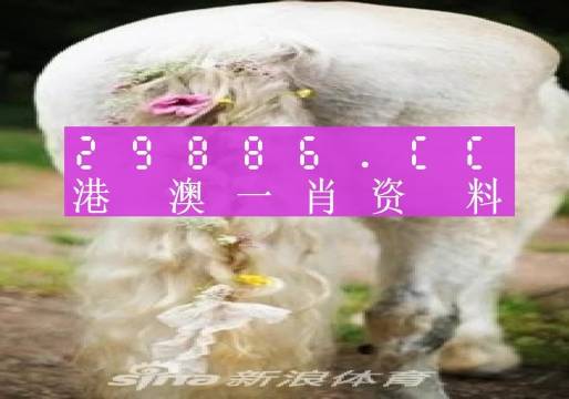 澳門(mén)內(nèi)部資料精準(zhǔn)大全2023，揭示背后的風(fēng)險(xiǎn)與挑戰(zhàn)，澳門(mén)內(nèi)部資料精準(zhǔn)大全揭秘，風(fēng)險(xiǎn)與挑戰(zhàn)并存于2023年