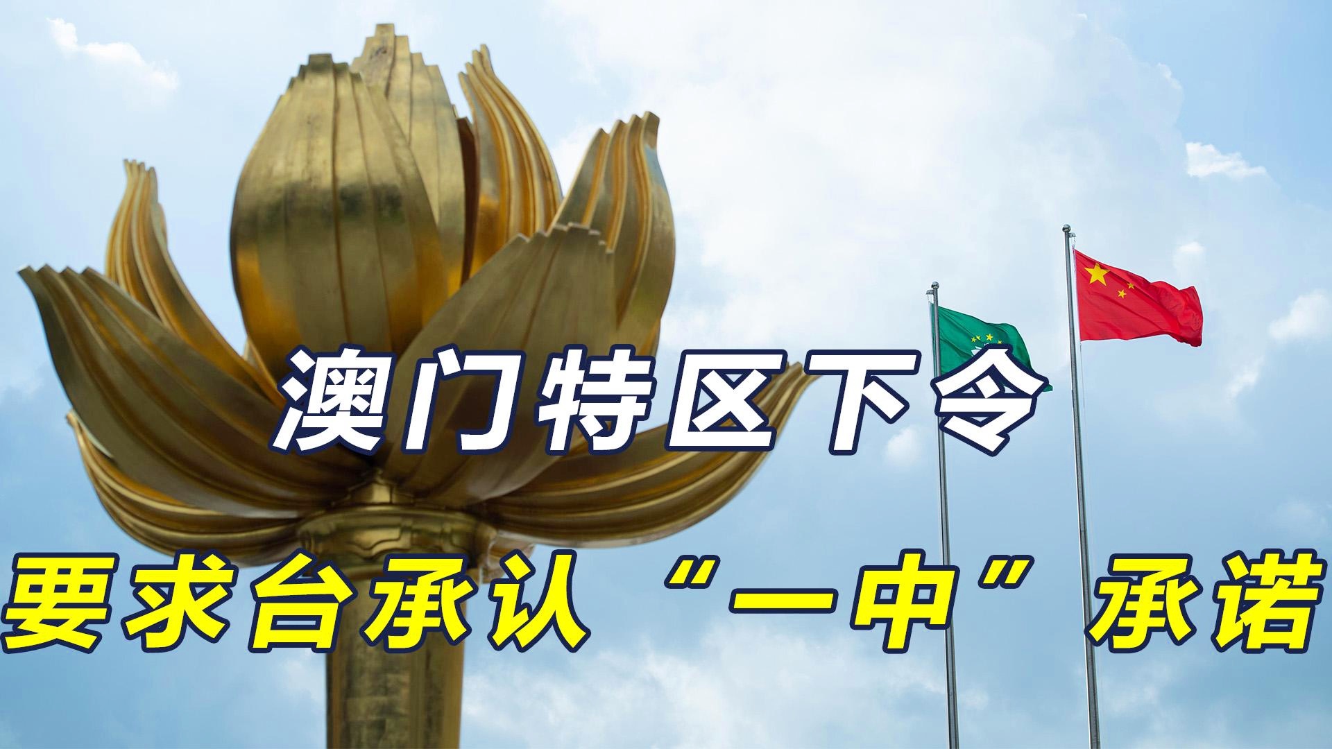 澳門一碼一肖一待一中四不的獨特魅力與探索，澳門一碼一肖一待一中四的獨特魅力與揭秘探索