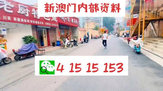 探索未來幸運(yùn)之門，2024年天天開好彩資料解析，揭秘未來幸運(yùn)之門，2024年天天好彩資料解析手冊