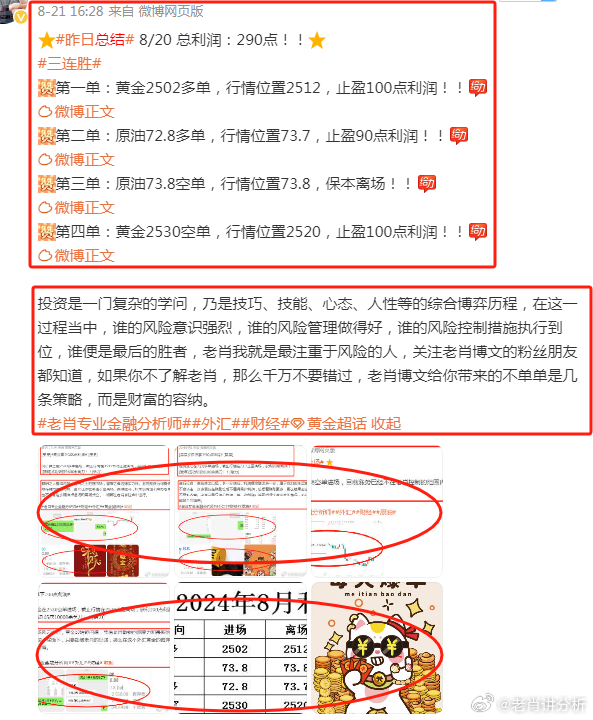 揭秘2024年管家婆的馬資料——探尋未來趨勢(shì)與變化，揭秘未來趨勢(shì)，2024年管家婆的馬資料深度解析