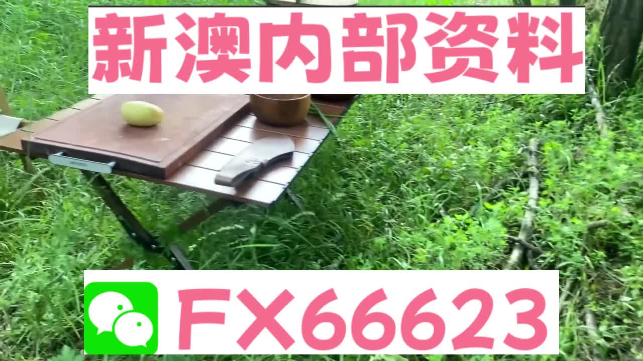 新澳天天開獎資料大全與旅游攻略詳解，新澳天天開獎資料及旅游攻略詳解大全