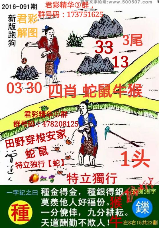 探索精準(zhǔn)跑狗圖，數(shù)字組合的魅力與策略，精準(zhǔn)跑狗圖數(shù)字組合的魅力與策略探索
