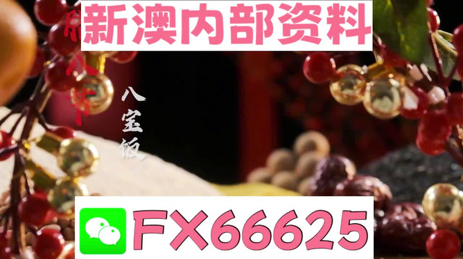 澳門正版免費資源在2024年的新展望，澳門正版免費資源展望2024，未來展望與機遇探索