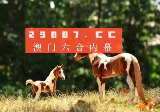 澳門六開彩結(jié)果，探索與解析（XXXX年報告），澳門六開彩結(jié)果解析報告，XXXX年最新探索與趨勢分析