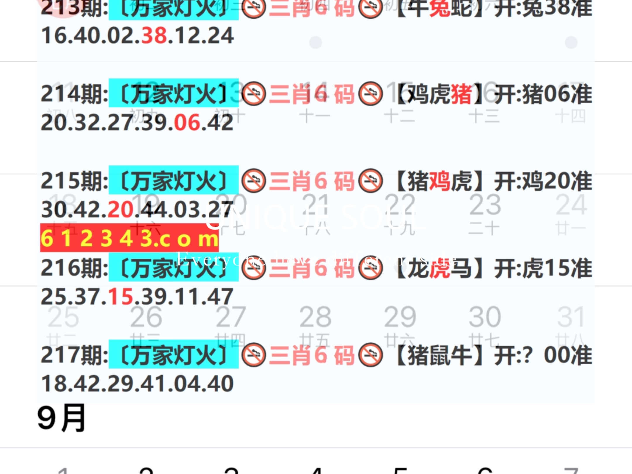 新澳門期期免費(fèi)資料，探索與揭秘，探索與揭秘，新澳門期期免費(fèi)資料