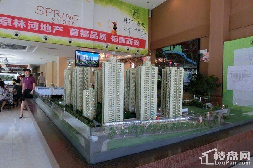 林河春天的獨特魅力，林河春天的迷人魅力
