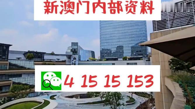 新澳一碼資料，深度解析與應(yīng)用前景，新澳一碼資料深度解析與應(yīng)用前景展望