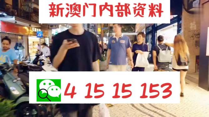 新澳門精準(zhǔn)24個(gè)碼，揭示違法犯罪背后的真相，澳門犯罪背后的真相揭秘，精準(zhǔn)追蹤24個(gè)犯罪案例的剖析