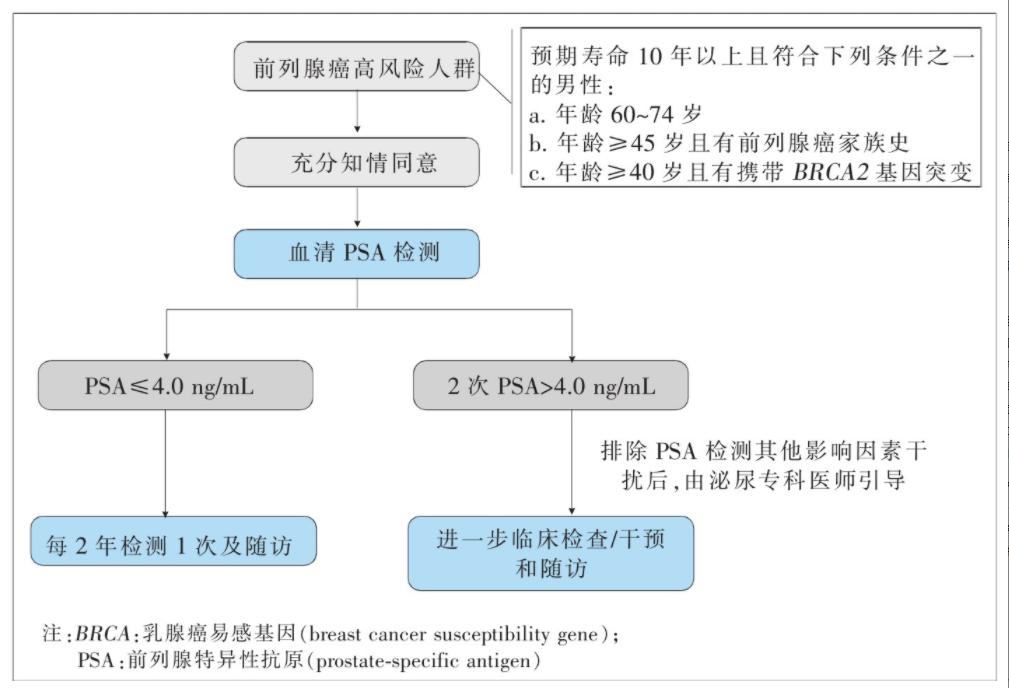 男性健康咨詢在線，探索新時代男性健康之路，男性健康咨詢在線，探索新時代男性健康之路的旅程