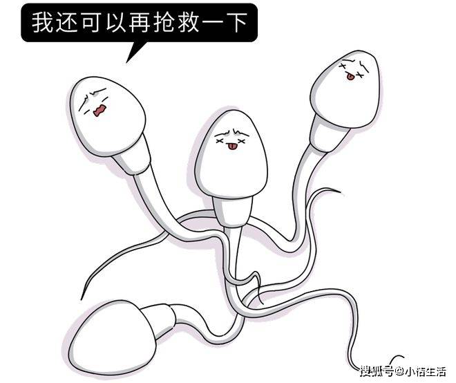 射精的潛在影響與恢復(fù)可能性探討，射精潛在影響及恢復(fù)可能性深度探討